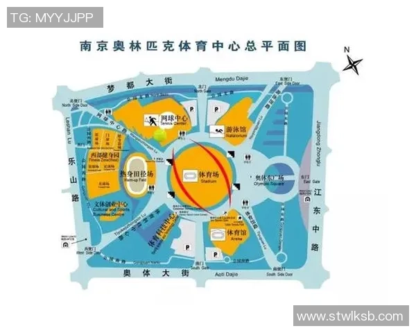 南京网球队选拔赛表现分析与状态评估总结